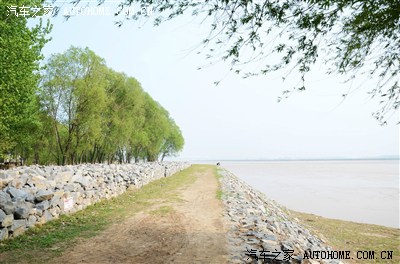 周日游河南封丘县陈桥湿地,地广人非常稀,还免费