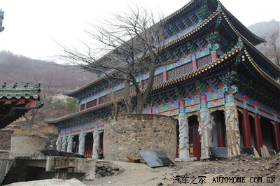 响应东本百万集结,赤峰香山寺植树!