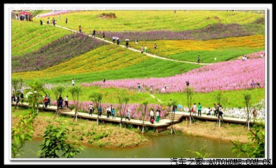 泸州花田酒地游(上《汽车之家》首页了,在自驾