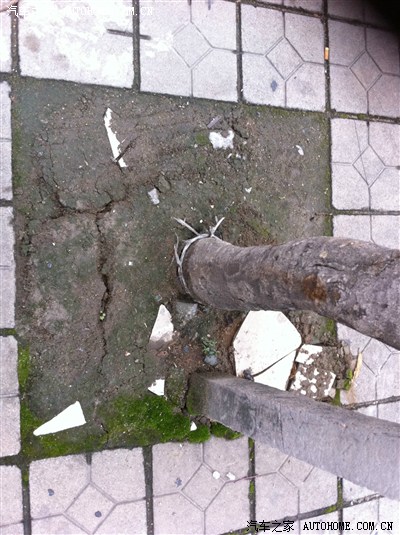 节不休息~海量图片~提车+选号福利+黑歌大屁