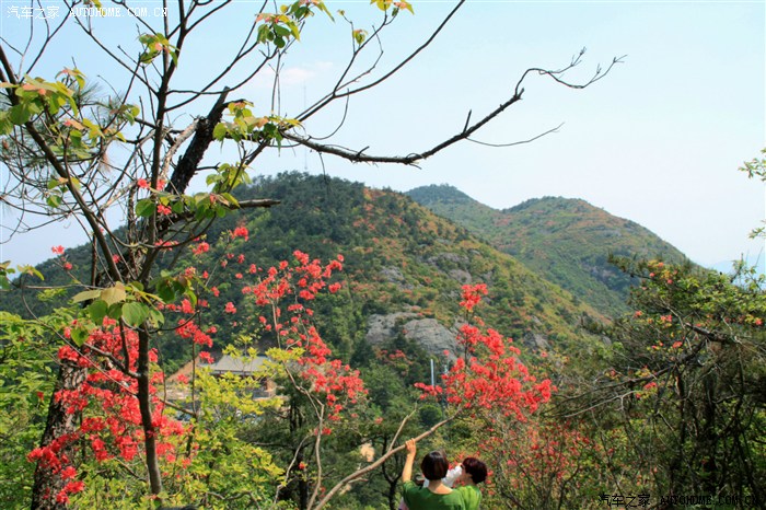 5月2日磐安高姥山赏杜鹃花