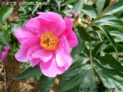 【景逸X3杯】洛阳猛虎营--未远行的五一 ,竟如