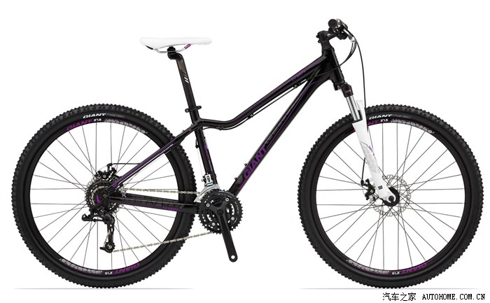 【图】准备提捷安特Tempt和Talon