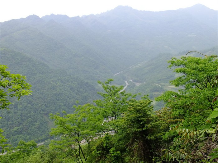 大邑雾中山.