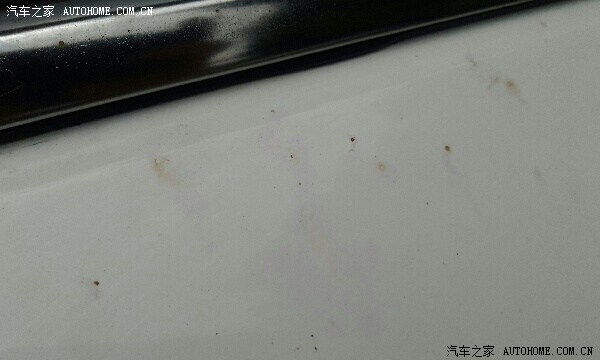 【图】请问白色x80漆面上的类似锈迹斑斑的黄