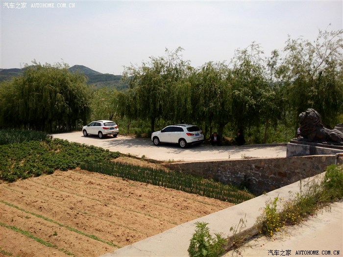 【图】吃樱桃、钓鱼、吃大餐、篮球、上山,这