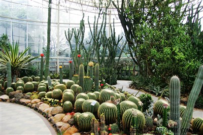 广州最近老下雨,今天冒雨去了一趟云台花园