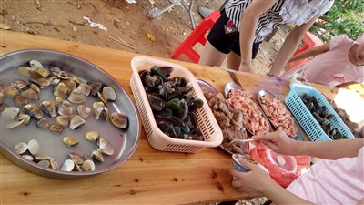 车友小聚会,台山海宴平凡果园/海边游,多图
