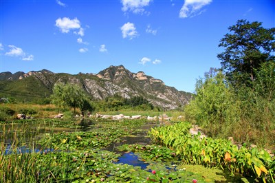 门头沟王平村的夏与冬