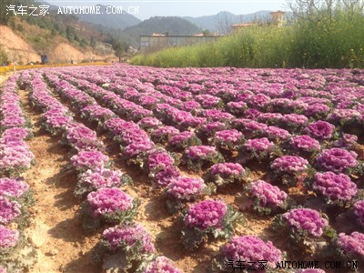 厦门十里蓝山一日游!