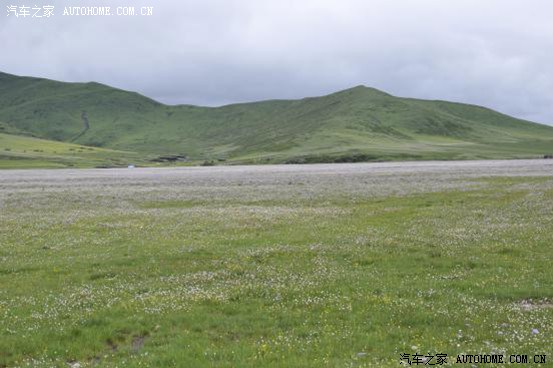 川西松潘草原恶魔塘草原花海