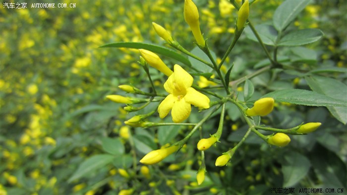 家人的健康安全,请认真欣赏这些幽默的语句!_