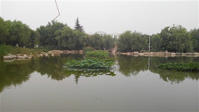 济宁百花公园及济南泉城广场匆匆一撇