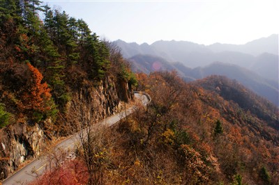 著名的黄花岭,走过宁陕广货街后向东走,一条静美而蜿蜒的山路.