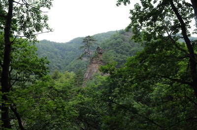 走进关山深处,体验徒步魅力,7人华亭麻庵至莲花台徒步