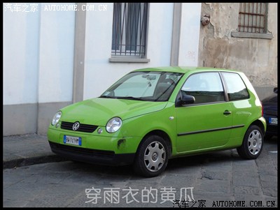 老老款菠萝