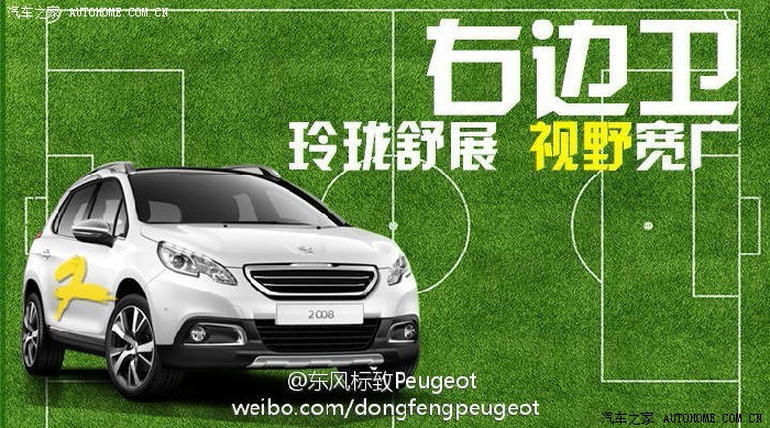 【图】如果狮子组成一支足球队!_标致2008论