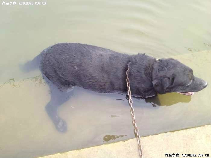 【图】新款408什么时候上市阿?送裸体洗澡妹