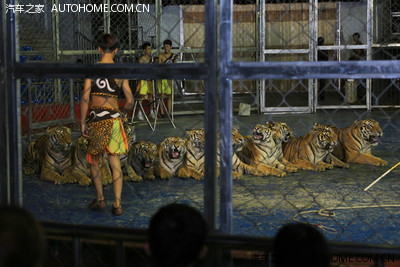 克拉玛依乌鲁木齐兰州九寨沟西安天水西宁嘉峪