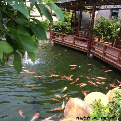 驱车十公里,交费5元,只为作业!27豪华汉兰达选