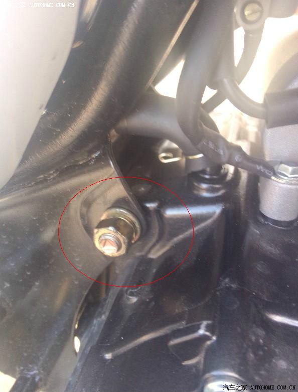 无泪控诉望江大公仔质量,亲身体会,想说爱你不