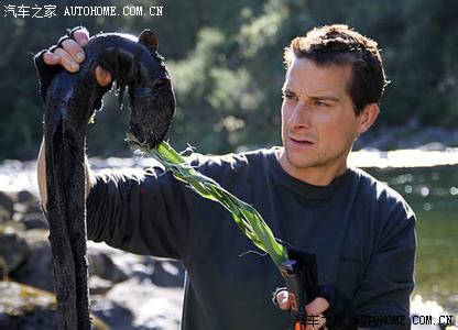 贝尔·格里尔斯_贝尔 格里尔斯收入(2)