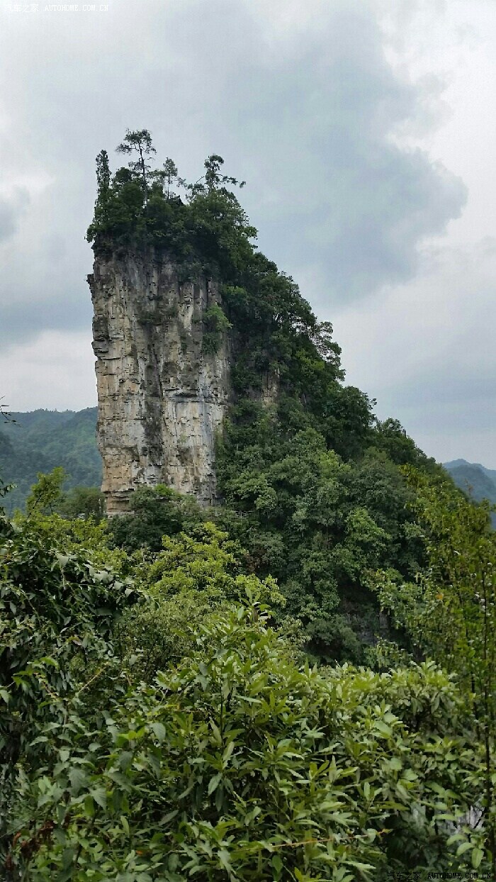 大方油杉河仙宇峰风光无限