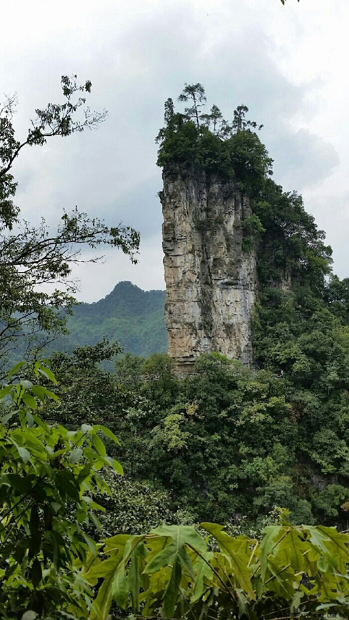 大方油杉河仙宇峰风光无限