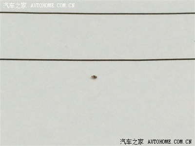 家里有这种虫子怎么办?_上海_手机汽车之家