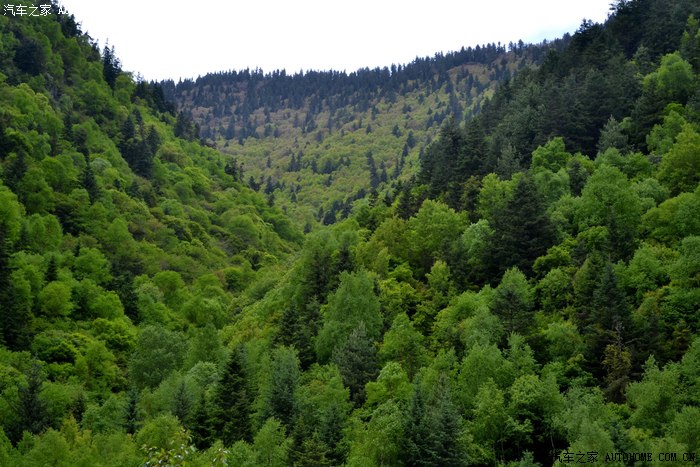 两侧大山郁郁葱葱