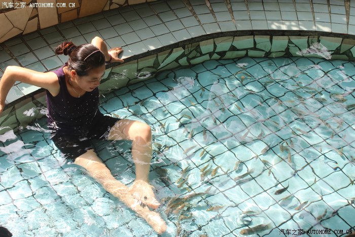 自驾绥阳花海观薰衣草,水晶温泉泡澡鱼疗