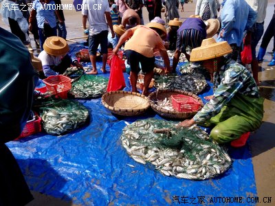 湛江市南三岛听涛 看渔民拉大网 海边撒野