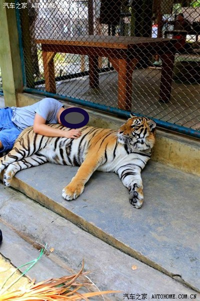 开车去泰国好玩么?好玩,能玩的可多了。_自驾