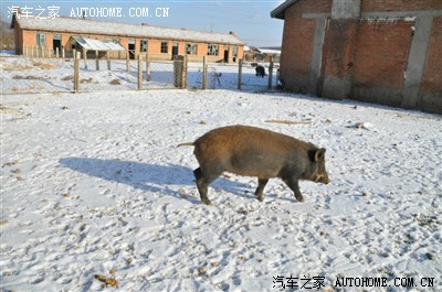 5600公里查干湖,哈尔滨,雪乡,延边,长白,丹东大