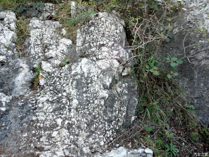 降为深海,沉积如今构成鲁南区崮形山顶部山崖中寒武系张夏组灰岩,其后