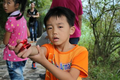 福建省<em>泉州市</em>洛江区<em>马甲镇</em>仙公山【支持甘肃