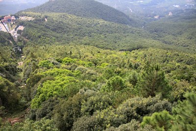 福建省<em>泉州市</em>洛江区<em>马甲镇</em>仙公山【支持甘肃