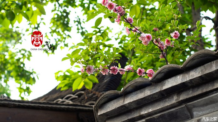 乌檐灰墙,一枝红杏出墙来.