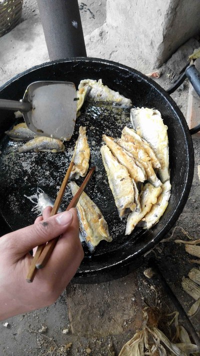 河北保定高大厨上菜小锅炒菜加香煎海鲫鱼_美