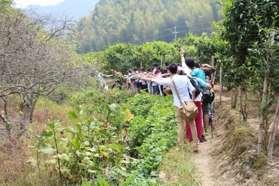 广州从化星溪线溪头村鸡枕山徒步一日游!