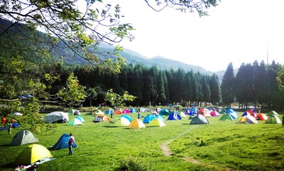 和千野草场不同的是,扎营全部在一块草坪上,而且不能用火,少了很多