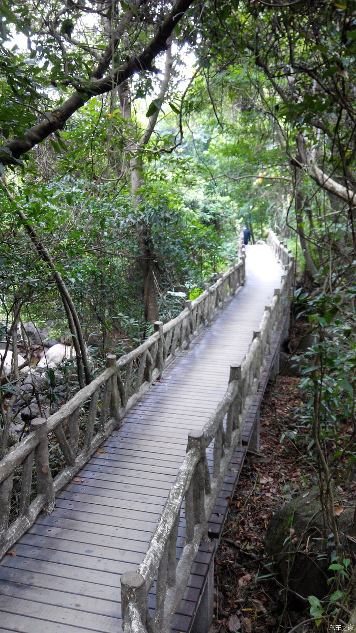 秋游银瓶山森林公园(清溪)