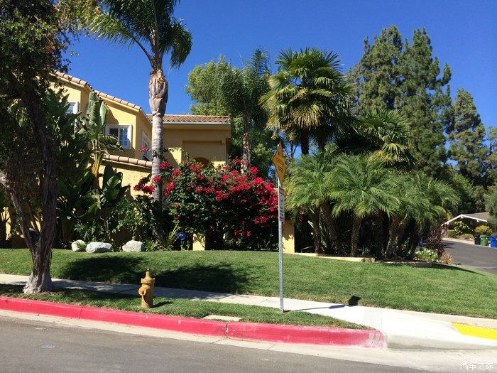 【图】洛杉矶,一年一度的省亲之旅!