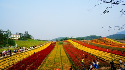 【重庆骋驰天下车友会】带你们去铜梁花海奇幻