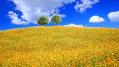 【重庆骋驰天下车友会】带你们去铜梁花海奇幻