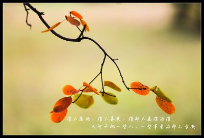 【大鱼】--【放下过去,让心归零】---秋