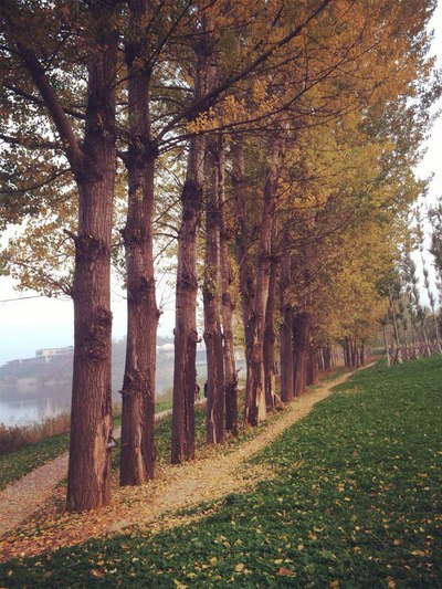 开会了放假了是不是一半的公司都放假呀!不放