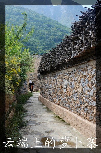 【猫】行走在云端上的街市--汶川县萝卜寨游记
