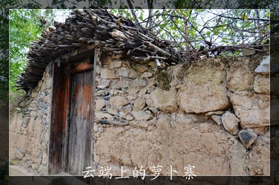 【猫】行走在云端上的街市--汶川县萝卜寨游记