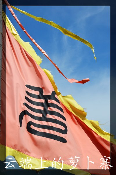 【猫】行走在云端上的街市--汶川县萝卜寨游记